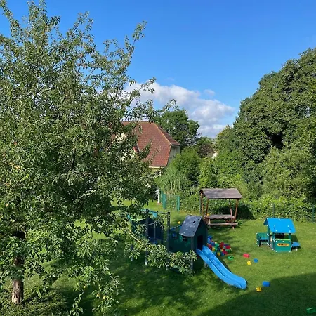 Jelle Von Der Welle *